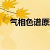 氣相色譜原理及其應(yīng)用（氣相色譜原理）
