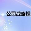 公司戰(zhàn)略規(guī)劃包括哪些內(nèi)容（公司戰(zhàn)略）