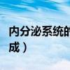 內分泌系統(tǒng)的組成和功能圖（內分泌系統(tǒng)的組成）