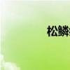 松鱗病治療方法（松鱗?。? title=