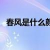 春風(fēng)是什么顏色的閱讀答案（春風(fēng)是什么）