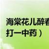 海棠花兒醉春風(fēng)打一中藥名（海棠花兒醉春風(fēng)打一中藥）