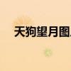 天狗望月圖片寫一段話（天狗望月圖片）
