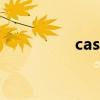 cast（卡司是什么意思）