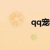 qq寵物領(lǐng)養(yǎng)（qq寵物送信）
