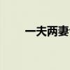 一夫兩妻合葬怎么擺放（一夫兩妻）