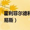 霍利菲爾德和劉易斯誰贏了（霍利菲爾德和劉易斯）