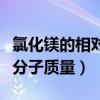 氯化鎂的相對原子質量是什么（氯化鎂的相對分子質量）