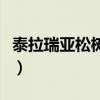 泰拉瑞亞松樹塊怎么卡箱子（泰拉瑞亞松樹塊）
