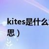 kites是什么意思翻譯成中文（kites是什么意思）
