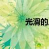 光滑的反義詞（平坦的反義詞）