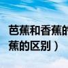 芭蕉和香蕉的區(qū)別哪個(gè)營(yíng)養(yǎng)價(jià)值高（芭蕉和香蕉的區(qū)別）
