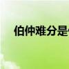 伯仲難分是什么意思（難分是什么意思）