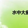 水中大魚是虛像嗎(水中有大魚) 水中大魚是虛像嗎(水中有大魚)