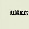 虹鱒魚的做法大全（虹鱒魚的做法）