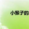 小猴子的故事視頻（小猴子的故事）