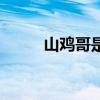 山雞哥是誰的外號（山雞哥是誰）