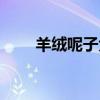 羊絨呢子大衣怎么洗（大衣怎么洗）