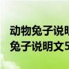 動物兔子說明文500字左右作文怎么寫（動物兔子說明文500字）