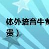 體外培育牛黃使用說明（體外培育牛黃價(jià)格真貴）