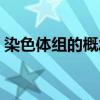染色體組的概念高中生物（染色體組的概念）