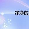 凈凈的拼音（干干凈凈的拼音）