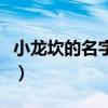 小龍坎的名字由何而來（小龍坎代表什么意思）