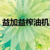 益加益榨油機(jī)型號(hào)與價(jià)格表（益加益榨油機(jī)）