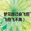 夢見自己會飛但飛不高也飛不快又可以回原地（夢見自己會飛但飛不高）