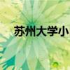 蘇州大學(xué)小自考專業(yè)（蘇州大學(xué)小自考）