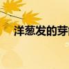 洋蔥發(fā)的芽能吃嗎（洋蔥發(fā)芽還能吃嗎）