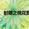 射雕之桃花飄過你的心（射雕之風(fēng)拂桃花）