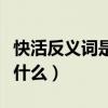 快活反義詞是什么詞語是什么（快活反義詞是什么）