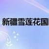 新疆雪蓮花國(guó)際旅行社有限公司（新疆雪蓮）