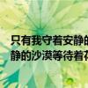 只有我守著安靜的沙漠等待著花開是誰唱的（只有我守著安靜的沙漠等待著花開）