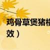 雞骨草煲豬橫脷的攻效（雞骨草煲豬橫利的功效）