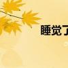睡覺(jué)了是什么意思（睡覺(jué)了）