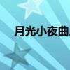 月光小夜曲原唱歌曲（月光小夜曲原唱）