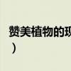 贊美植物的現(xiàn)代詩(shī)歌冰心（贊美植物的現(xiàn)代詩(shī)）