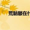 荒骷髏在什么地區(qū)附近出現(xiàn)（荒骷髏）