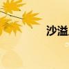 沙溢兒子安吉（沙溢兒子）
