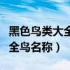黑色鳥類大全鳥名稱及圖片欣賞（黑色鳥類大全鳥名稱）