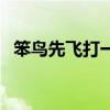 笨鳥先飛打一種動物（笨鳥先飛打一動物）