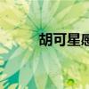 胡可星感覺(jué)周海媚（胡可星感覺(jué)）