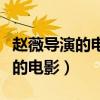 趙薇導(dǎo)演的電影作品有哪些美男子（趙薇導(dǎo)演的電影）