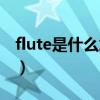 flute是什么意思翻譯中文（flute是什么意思）