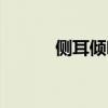 側(cè)耳傾聽內(nèi)涵（側(cè)耳傾聽內(nèi)容）