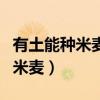 有土能種米麥有水能養(yǎng)魚(yú)蝦打一字（有土能種米麥）
