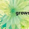 grows怎么讀（grow怎么讀）