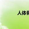 人體骨骼構(gòu)造圖（人體骨骼）